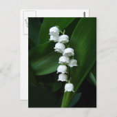 Lily of the Valleyはがき ポストカード (正面/裏面)