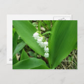 Lily of the Valleyはがき ポストカード (正面/裏面)