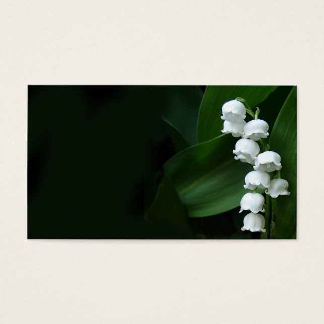 Lily of the Valleyプロファイルカード (正面)