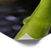 Lily of the Valley Poster ポスター (角)