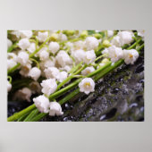 Lily of the Valley Poster ポスター (正面)