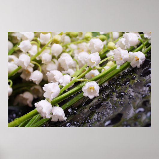 Lily of the Valley Poster ポスター (正面)