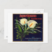 Lily Orange LabelExeter（カリフォルニア州） ポストカード (正面/裏面)