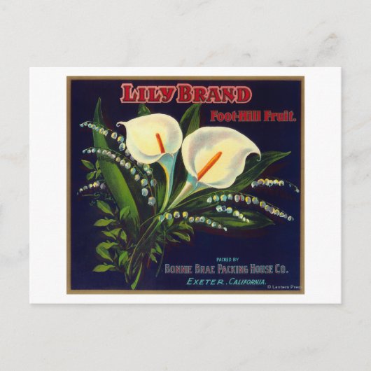 Lily Orange LabelExeter（カリフォルニア州） ポストカード (正面)