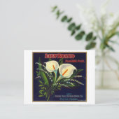 Lily Orange LabelExeter（カリフォルニア州） ポストカード (スタンド正面)