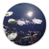 Lily pad Water Fairy Reflection セラミックノブ (正面)