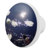 Lily pad Water Fairy Reflection セラミックノブ (右)