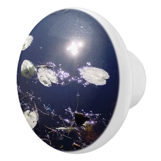 Lily pad Water Fairy Reflection セラミックノブ (右)