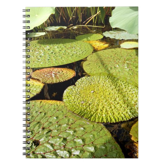 Lily Padsフォトノートブック ノートブック (正面)