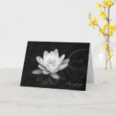 Lily Pads in Black and White カード (黄色い花)