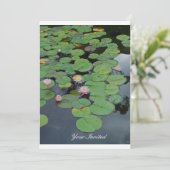 Lily Pads "Your 招待され" 招待状 (スタンド正面)