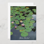 Lily Pads "Your 招待され" 招待状 (正面/裏面)