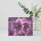 Lily Postcard ポストカード (スタンド正面)