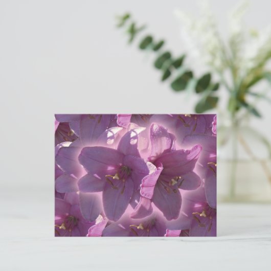 Lily Postcard ポストカード (スタンド正面)