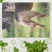 Lily Towel キッチンタオル (折り畳み)