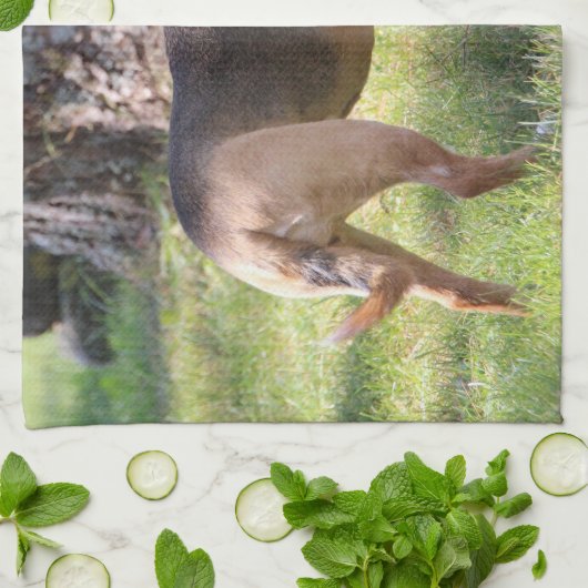 Lily Towel キッチンタオル (折り畳み)