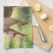 Lily Towel キッチンタオル (四つ折り)