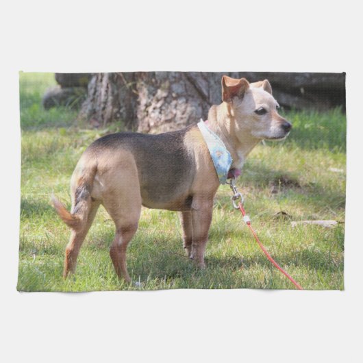 Lily Towel キッチンタオル (横)