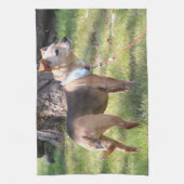 Lily Towel キッチンタオル (縦)