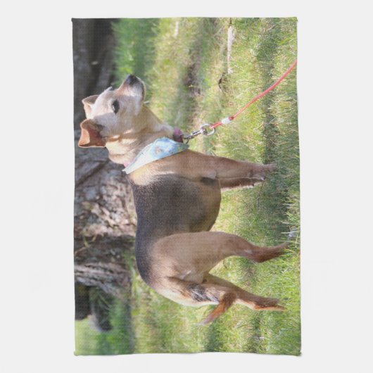 Lily Towel キッチンタオル (縦)