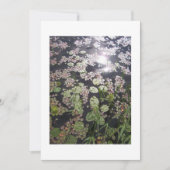 Lilyadsすべての目的の招待状へ 招待状 (正面)