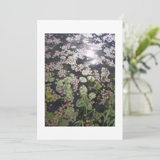 Lilyadsすべての目的の招待状へ 招待状 (スタンド正面)