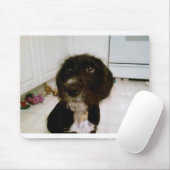 Lilypadのマウスパッド マウスパッド (マウス)