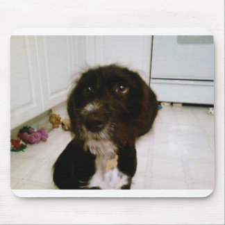 Lilypadのマウスパッド マウスパッド