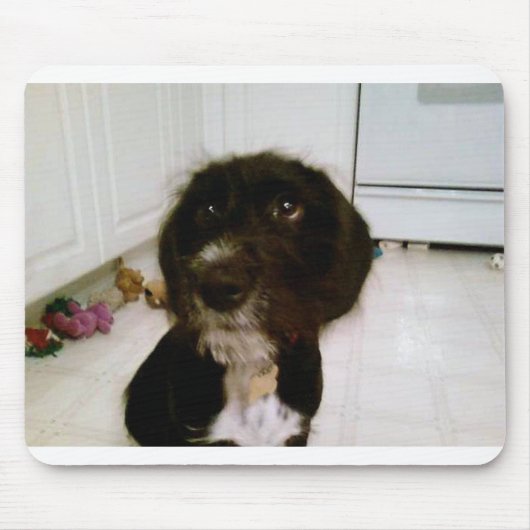 Lilypadのマウスパッド マウスパッド (正面)