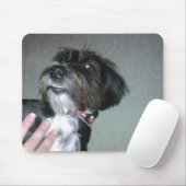 Lilypad マウスパッド (マウス)