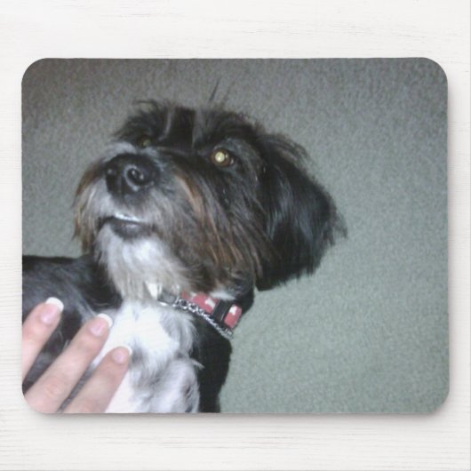 Lilypad マウスパッド (正面)