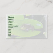 Lilypads名刺のブルフロッグ 名刺 (正面)