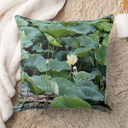 Lilyshade Silence クッション (ブランケット)