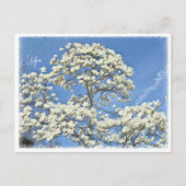 Lilytree ポストカード (正面)