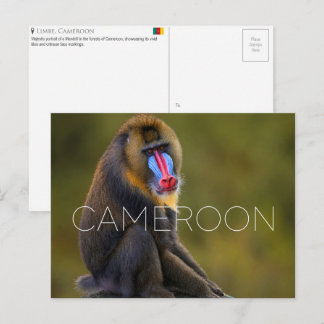 Limbe Wildlife, Cameroon Travel Postcard ポストカード