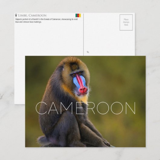 Limbe Wildlife, Cameroon Travel Postcard ポストカード (正面/裏面)