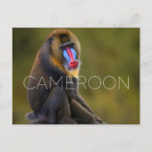 Limbe Wildlife, Cameroon Travel Postcard ポストカード (正面)