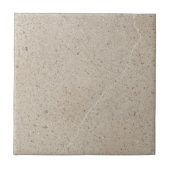 Limestone simple rustic print タイル (正面)
