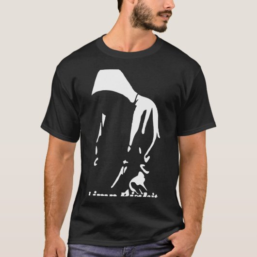 Limp Bizkit (1) Tシャツ (正面)