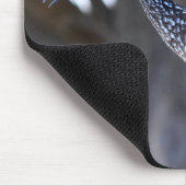 Limpkin マウスパッド (コーナー)