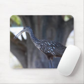 Limpkin マウスパッド (マウス)