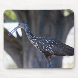 Limpkin マウスパッド