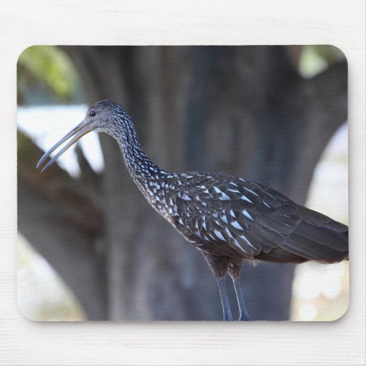 Limpkin マウスパッド (正面)