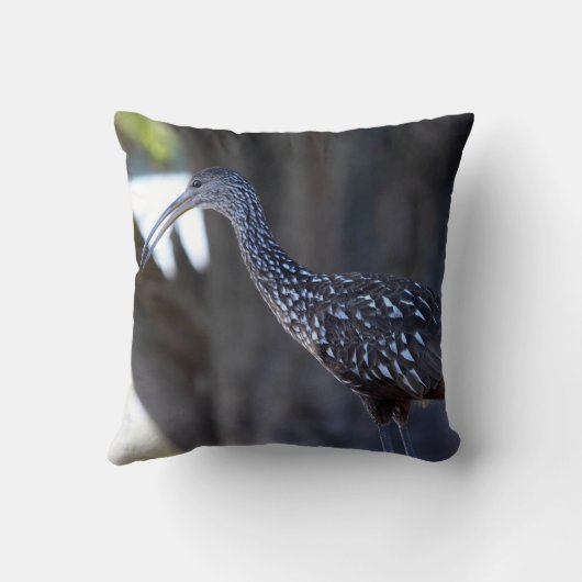 Limpkin, The Crying Bird クッション (裏面)