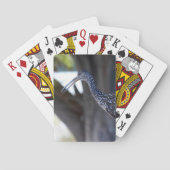 Limpkin, The Crying Bird トランプ (裏面)