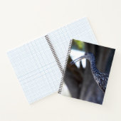 Limpkin, The Crying Bird ノートブック (内部)