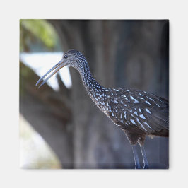 Limpkin, The Crying Bird マグネット
