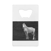 LIN10BW Stance.tif クレジットカード栓抜き (裏面)