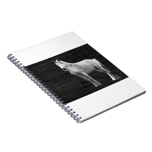 LIN10BW Stance.tif ノートブック (右側)