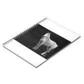 LIN10BW Stance.tif ノートブック (左側)